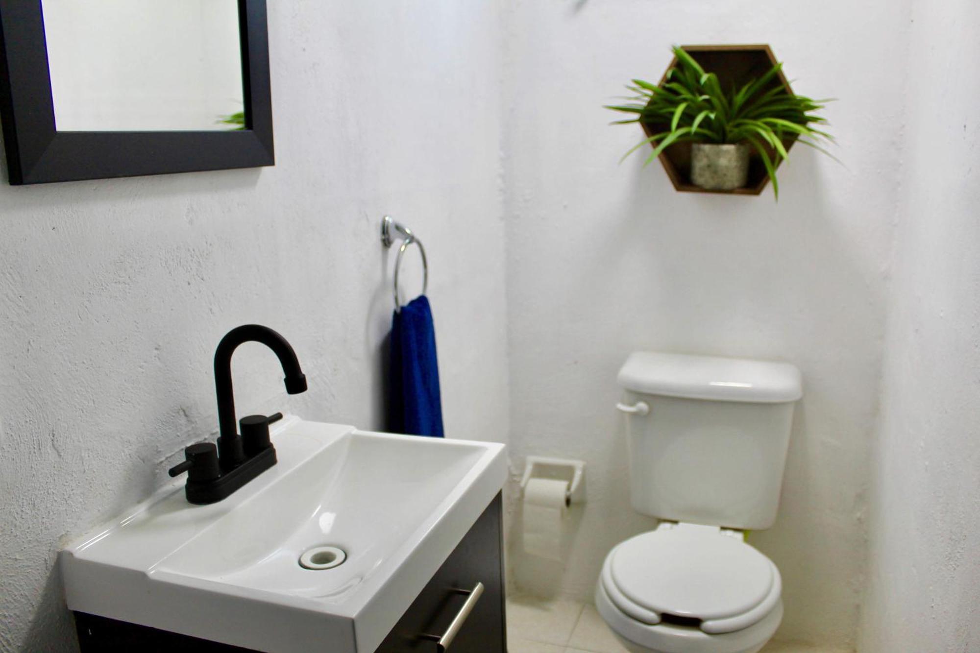 Pop Urban Studio Cancun Dış mekan fotoğraf
